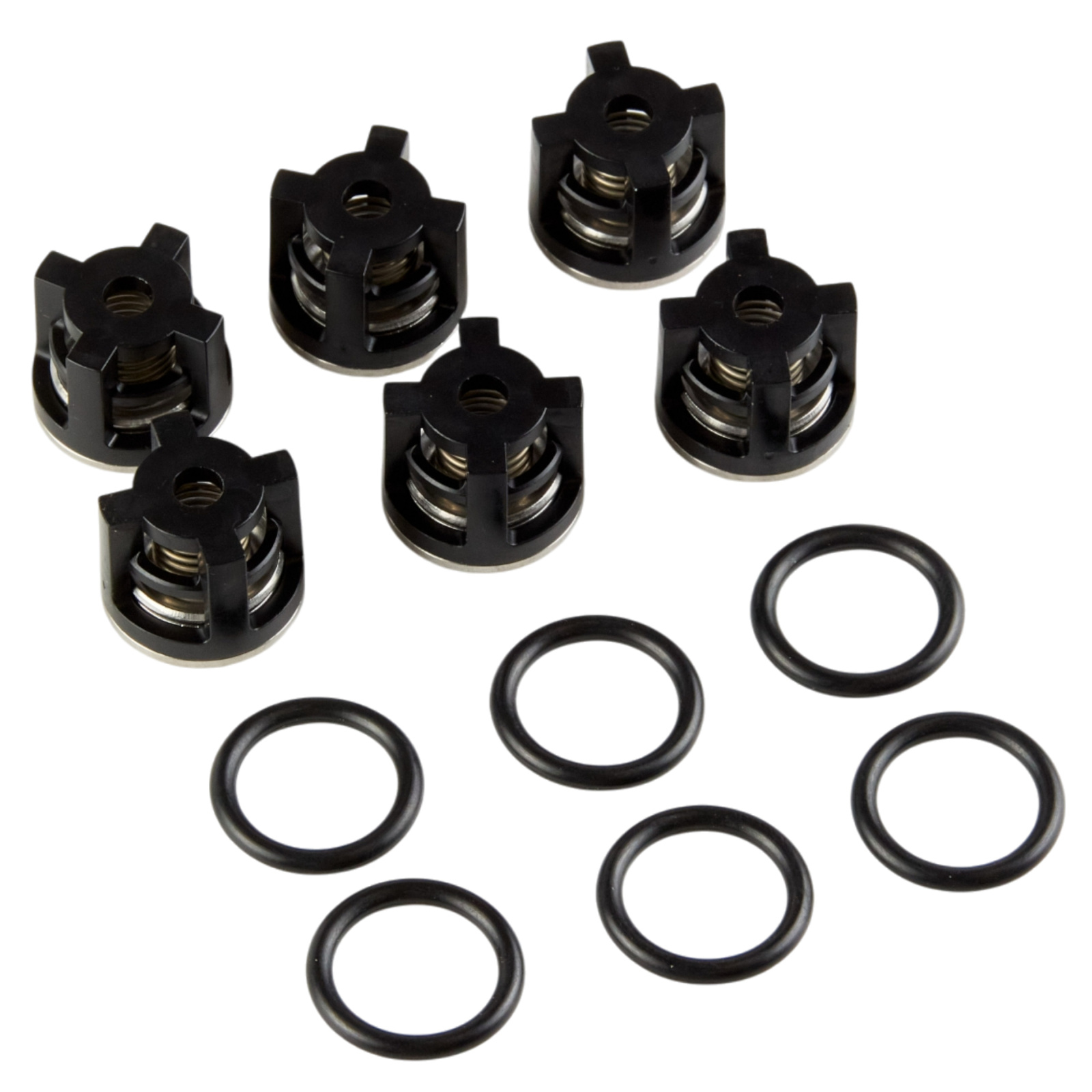 KIT A набор клапанов помпы RR1520 KIT A набор клапанов помпы RR1520