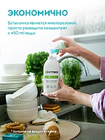Сменные блоки средства для мытья посуды, овощей, фруктов и детских игрушек Dutybox 1 л.